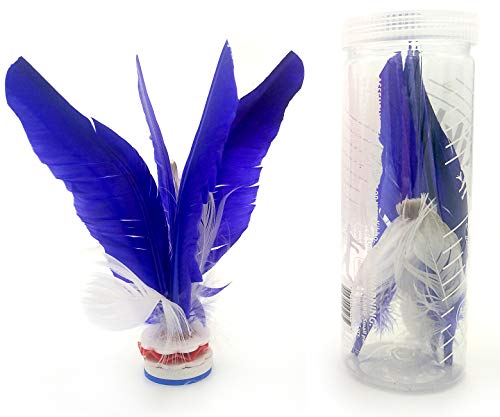 VIAHART Kikbo Kick Shuttlecock Cylinder (Chapteh, Da CAU, Jian Zi) | Great Change-up from Hacky Sack and Footbag (Blue) Includes One Complete Kikbo Shuttlecock and Four Replacement Feathers