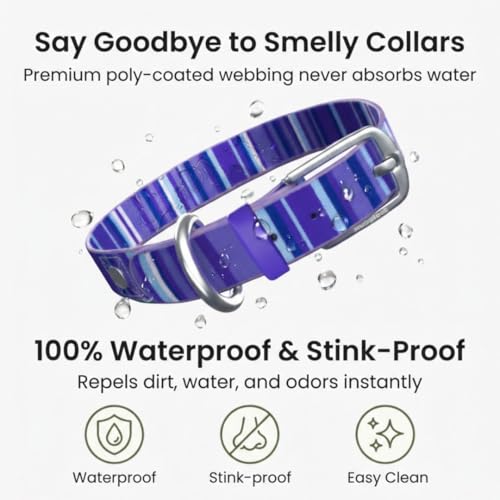 Image of Waterproof Dog Collar - Washable, Stink-Proof & Dirt-Proof - Soft, Odorless, Easy to Clean - Fade-Resistant, Durable for Medium & Large Dogs - Rust-Proof Metal Buckle (Purple-M 1 inch)