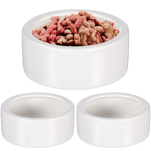 MAGICLULU ঒ޗpa Z~bN 3Zbg ^gJQp݃{E  a  t[hfBbV p  NK Jiwr JG gJQ T hJ