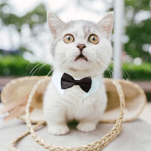 Image of Cat Tuxedo, KOOLMOX Black Cat Bow Tie Sewed with Handcrafted Adjustable White Collar for Formal Pet, Male Cat Collar for Small Puppy Boy Dog Collars Cats Wedding Outfit Birthday Gift Dog Bows