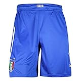 PUMA Men's Figc Italia Shorts
