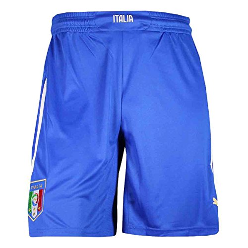 PUMA Men's FIGC Italia Shorts