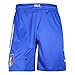 PUMA Men's Figc Italia Shorts