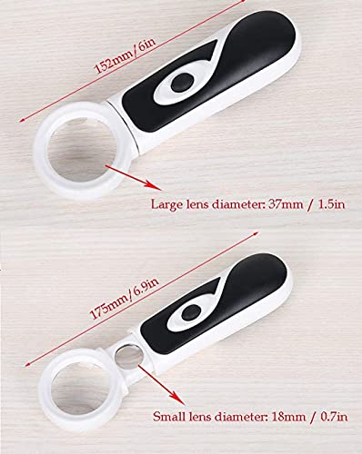 Loupe de lecture LED haute définition optique en verre 8X et 20X
