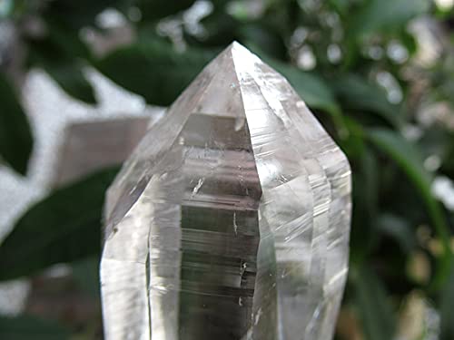 Amazon.co.jp: ガネーシュヒマール産 ヒマラヤ水晶 原石 販売 通販