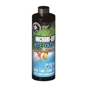 MICROBE-LIFT NITEH04 Nite-Out II Aquarium and Fish Tank Cleaner for Rapid Ammonia and Nitrite Reduction, Freshwater and Saltwater, 4 Ounces