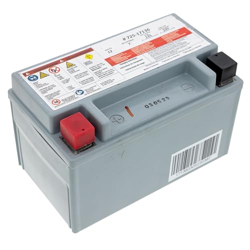 CUB CADET OEM AGM Battery