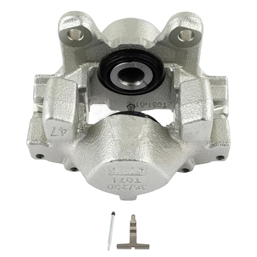 Image of 192883 Rear Left Disc Brake Caliper w /o Bracket