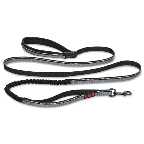 Image of HALTI Active Leash - Award-Winning Bungee Dog Leash, Shock-Absorbing, All-in-One Neoprene Padded Belt & Lead, Perfect for Running & Training with Small & Medium Dogs (Size Small, Black) | Award-Winning Bungee Dog Leash | Shock-Absorbing Anti-Pull Leash | Padded Belt | Running & Training Small & Medium Dogs