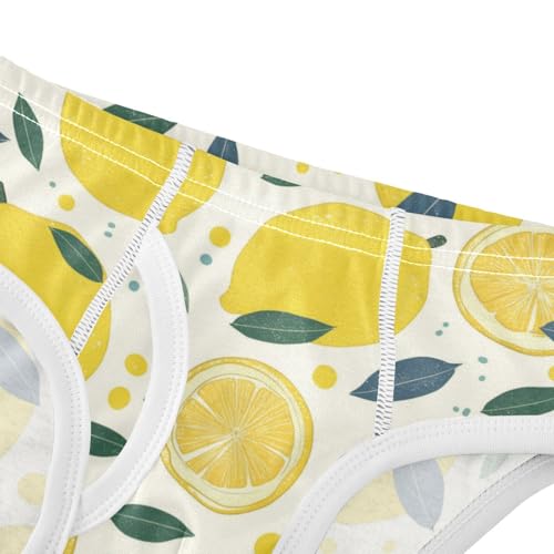 Wusikd Lemon Slices Boys' Underwear Cotton Yellow Boys Briefs Soft Toddler Underwear 2T4