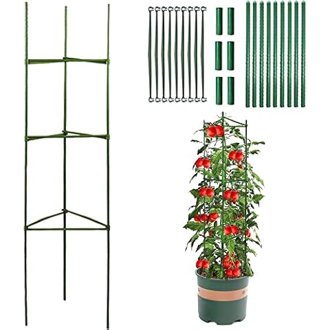 Kakveiai Garden Tomato Plant Support, Plant Cages Support Frame Trellis, Green Plastic Coated Metal Stakes Climbing Vines Plant, for Flowers Fruit Vegetables Grow (One Group) Cover
