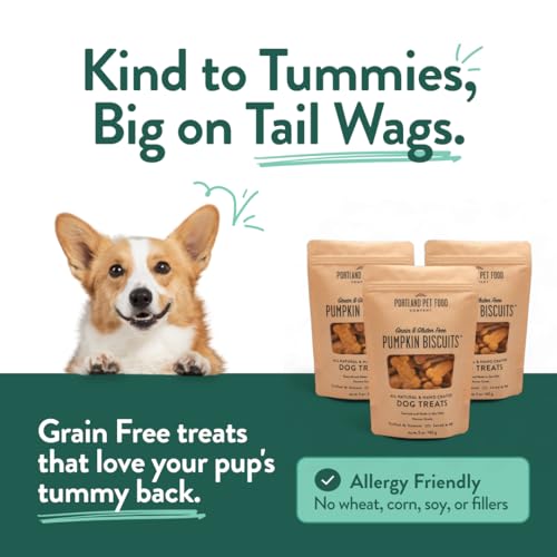 MegiaExist Pet Food Company Pumpkin Healthy Dog Treats Multipack GrainFree, HumanGrade… – Ansicht 5