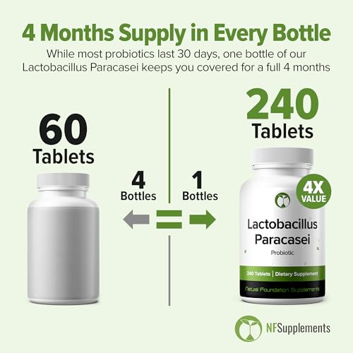 Image of Lactobacillus Paracasei Probiotic 240 Tablets (4 Month Supply) - Researched Strain - 3 Billion CFU - Digestive Health & Wellness Support - GMP Certified (240, Lactobacillus Paracasei)