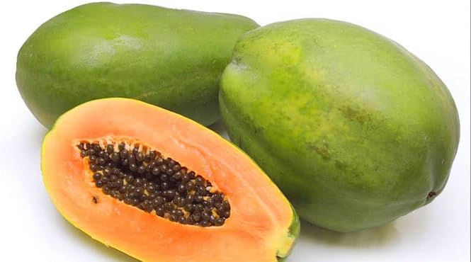 The Rike 100 Mexican Papaya Seeds for Planting Carica Papaya Seeds, Papaya, Pawpaw, Asimina triloba Organic Non-GMO