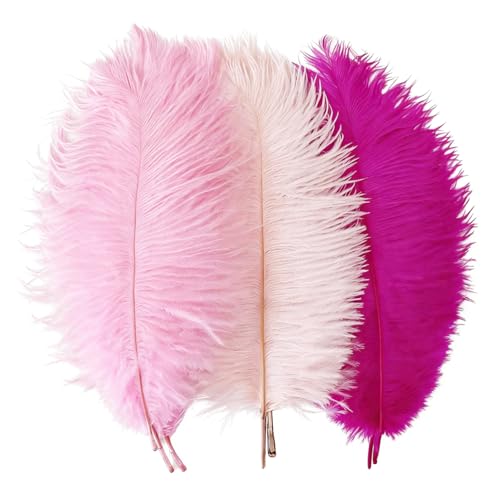 9PCS Hot Pink Ostrich Feathers Natural Bulk 10-12Inch Feather for Wedding Birthday Home Party Vase Craft Decoration