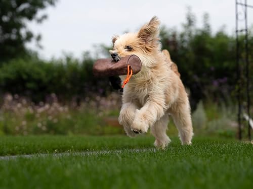 TrendPet Kurt Futterdummy Trainingsdummy für Hunde (S, braun)