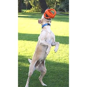 Happy Pet – Cultivator Football – 18 cm – Dog Toy – 1 Piece