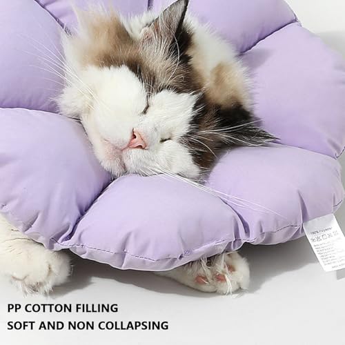 Cono protector para gato impermeable y ajustable con almohada blanda M 4