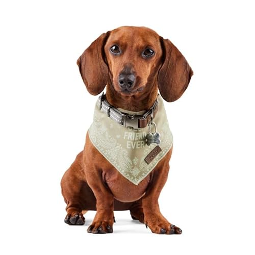 Reddy BFF Dog Bandana Small/Medium Green