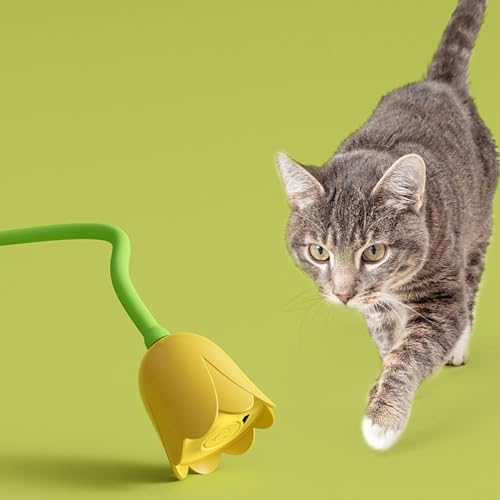 Jouet interactif électrique pour chaton idéal au salon la journée