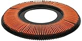 Muller Filter PA124 Air Filter