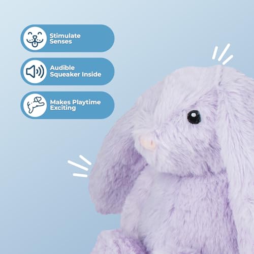 Image of Best Pet Supplies Interactive Bunny Buddy Dog Toy with Crinkle and Squeaky Enrichment for Small and Medium Breed Puppies or Dogs, Cute and Plush - Bunny (Purple), Small