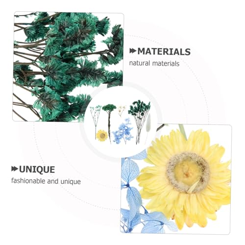 Flores secas prensadas para manualidades y decoración miniatura 5