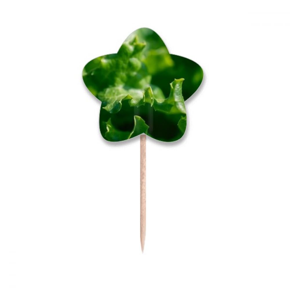 Cure-dents drapeaux étoiles décoration cupcake bois Tender Nature lable de buffet traiteur