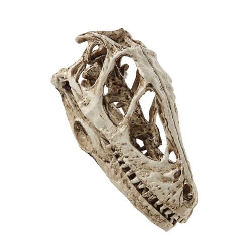 CIYODO Realistic Animal Skull Model Simulated Skeleton Specimen for Home Decor Teaching Collectibles for Art Science Classrooms and Present Giving