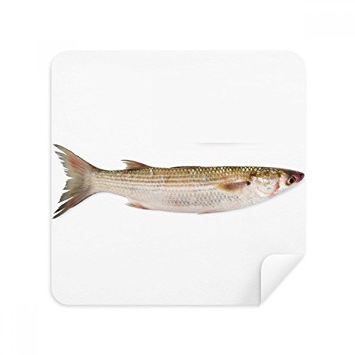 Lunettes chiffon de nettoyage poisson de mer pour votre quotidien