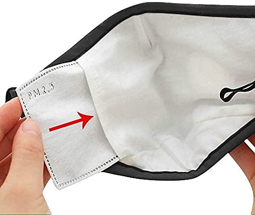 PM2.5 Folhas substituíveis com inserção de filtro de carbono ativado, filtro PM2.5 de 5 camadas para