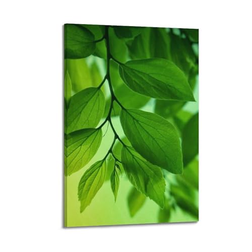 Poster mural à suspendre branches de feuilles vertes 40x60cm ZHOUKEG
