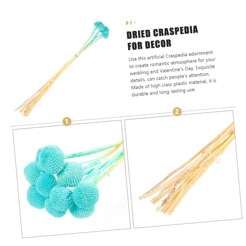 Arreglos Florales Secos Craspedia 10 piezas Azul miniatura 5