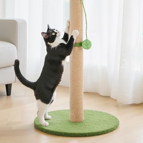 Image of Sweetcrispy 33 inch Cat Scratching Post for Indoor Cats, Cat Scratcher Scratching Posts with Dangling Ball for Adult, Palm Tree Cat Scratch Post for Kittens, Green