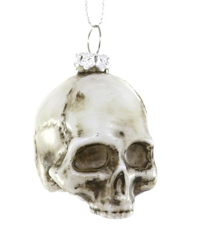Amazon.com: The Bridge Collection Realistic Skull Ornament
