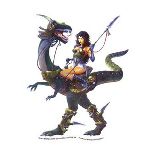 Dragon Girl Decorative Sticker Decal By MEIKLEJOHN GRAPHICS