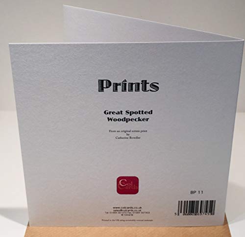 Biglietto di auguri di compleanno con picchio