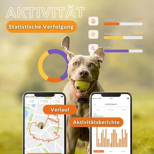 Weenect XS für Hunde - Mini GPS-Tracker für Hunde | GPS-Tracking in Echtzeit | Kleinstes Modell auf dem Markt | Abonnement | Wasserdicht