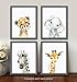 Confetti Fox Safari Animals Nursery Pictures Wall Decor - 8x10 Unframed Set of 4 Art Prints - Leopard Elephant Zebra Giraffe - Baby Boy Girl Zoo Jungle Watercolor Artwork