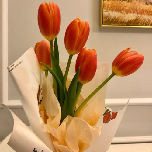 TulipáN Bulbos, Bulbos De TulipáN, TulipáN Semillas, TulipáN Semillas, Semillas De TulipáN ，Mezcla de bulbos de tulipán