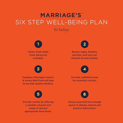 Marriages - Budgie Food, Budgie Seed and Bird Food with Red Millet, Yellow Millet, Wholesome, Bird Seed Packed with Fibre and Protein (1kg) - Image 7