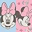 Disney Minnie Mouse Disney Minnie Mouse