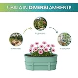 PALUPLUS B0FB9JC6WN lato 4