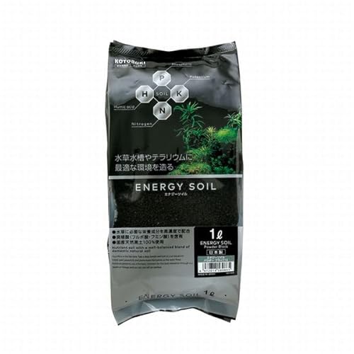 RguL GiW[\C pE_[ubN1L