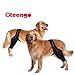 Oteengo Dog Knee Brace for Torn ACL Hind Leg Dog Knee Braces for Back Leg Torn ACL Knee Brace for Dogs Back Leg Dog ACL Brace Hind Leg Dog Knee Brace for Luxating Patella Leg Support (L)