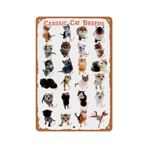 Klassische Katzenrassen, 24 Katzen, Vintage-Metallschilder, lustiges Poster, Schild, Wandkunst, Dekor, Plakette für Musical, Männerhöhle, Bauernhaus,...