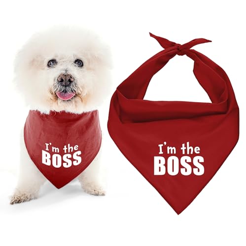 Parisian Pet Dog Bandana for Dogs and Cats - Dog Bandanas Large and Small Kerchief Scarfs - Dog Bandanas Im the Boss