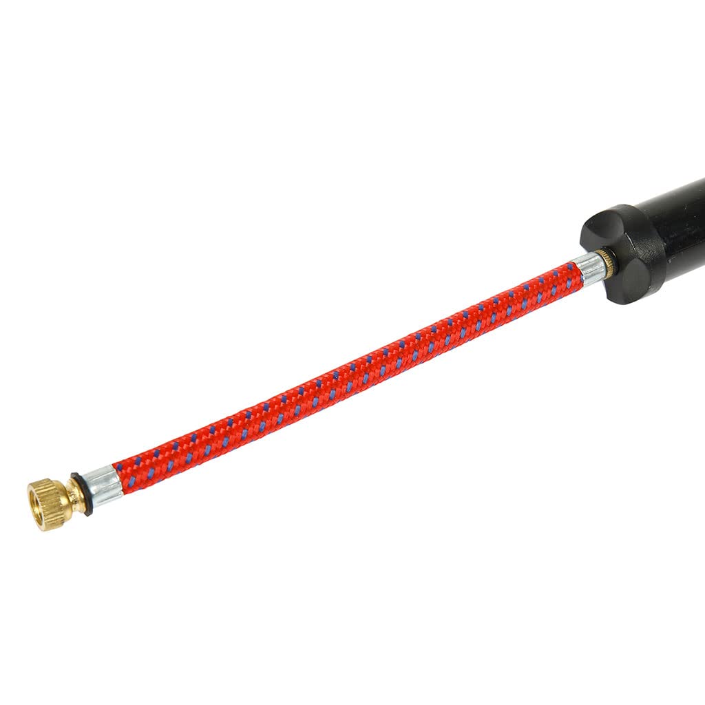 RAYMOND Mini Pompes à Main Cyclisme Embouts Mixtes PV GV Plastique 25cm Gonflage pneus vélos Noir