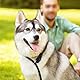 Gorise Verstellbares Anti-Zug-Hundehalsband Nylon-Trainingshalsband Mit Anti-WüRge-Design 10 Mm Kletterseil FüR Kleine/MittelgroßE/GroßE Hunde 50 cm Schwarz GrößE M