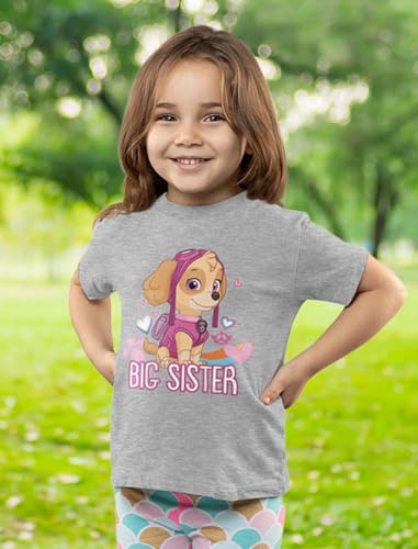 Tstars Official Paw Patrol Skye Big Sister Shirt Toddler Kids T-Shirt3